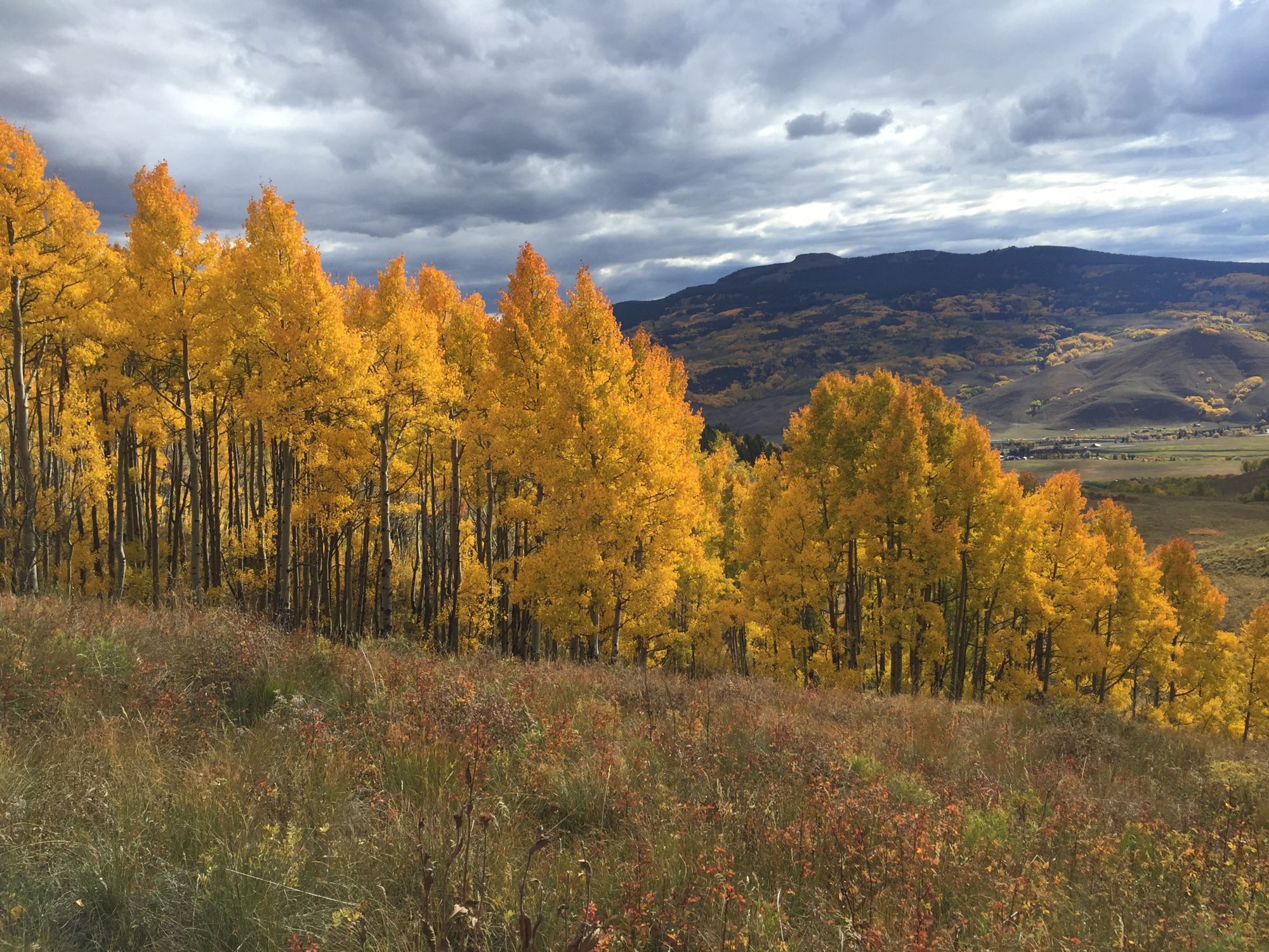 Camp 4 Coffee Cart to Cart Trail Run CB Mountain Runners